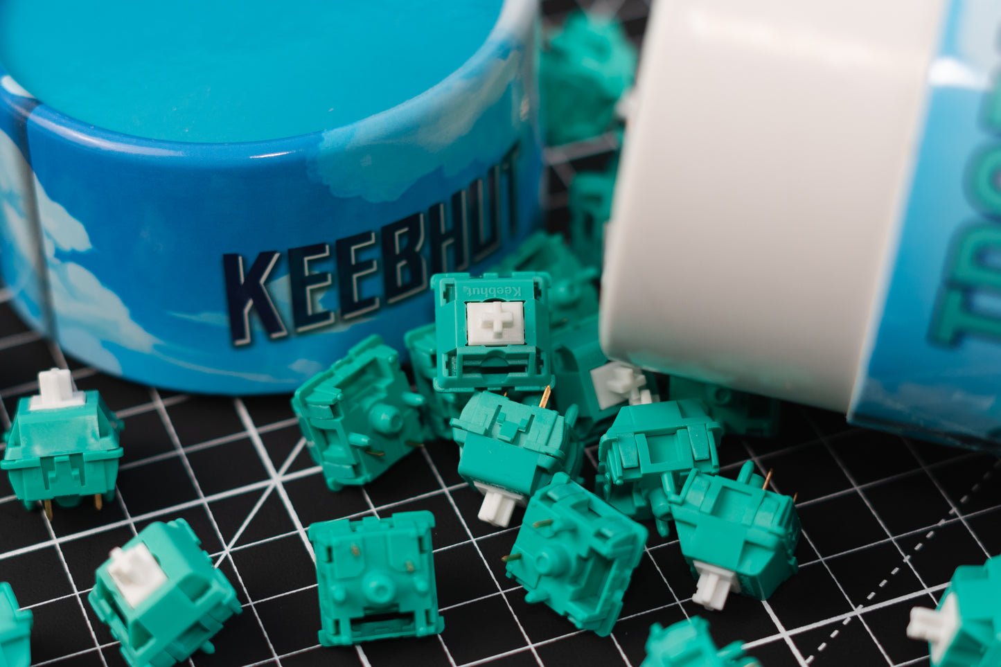 Keebhut Tropical Waters